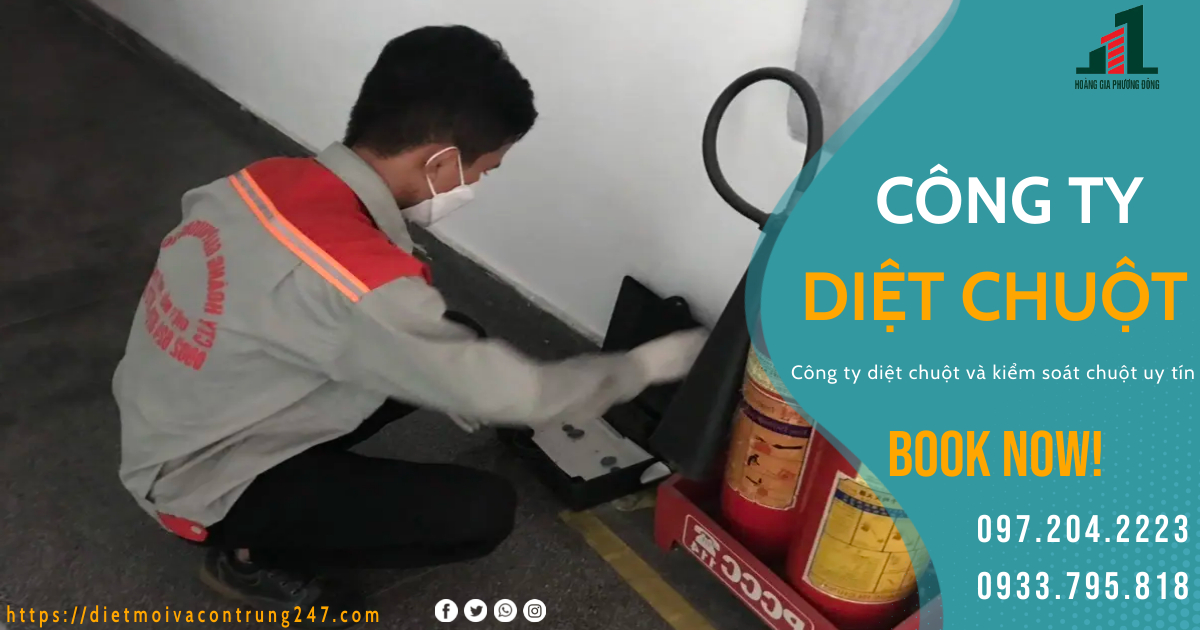 CÔNG TY DIỆT CHUỘT UY TÍN
