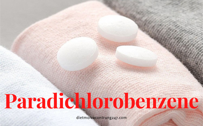 Paradichlorobenzene là gì?