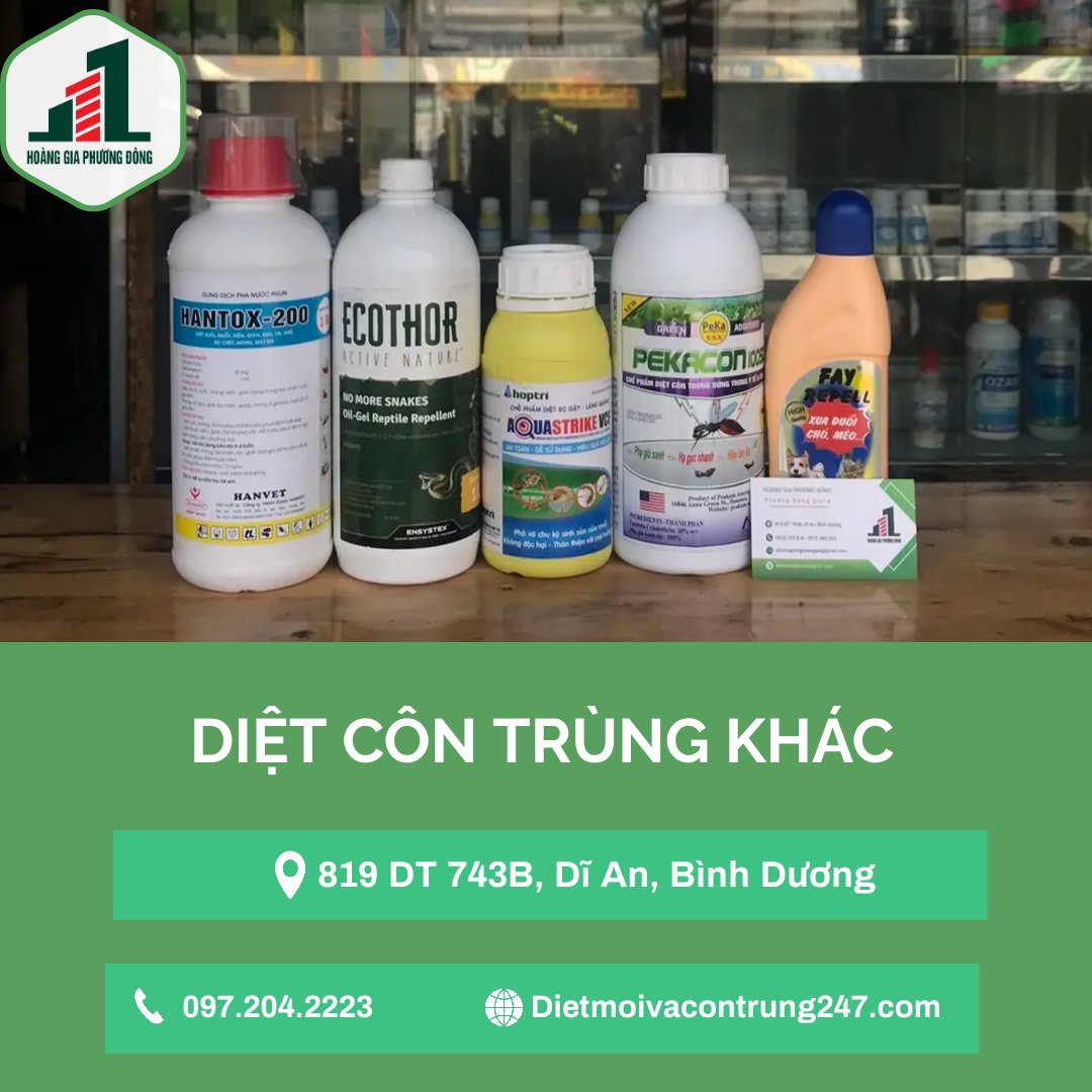 Sản phẩm khác