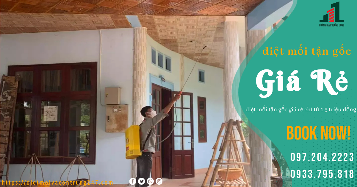 DIỆT MỐI TẬN GỐC GIÁ RẺ - CHỈ TỪ 1,5 TRIỆU ĐỒNG