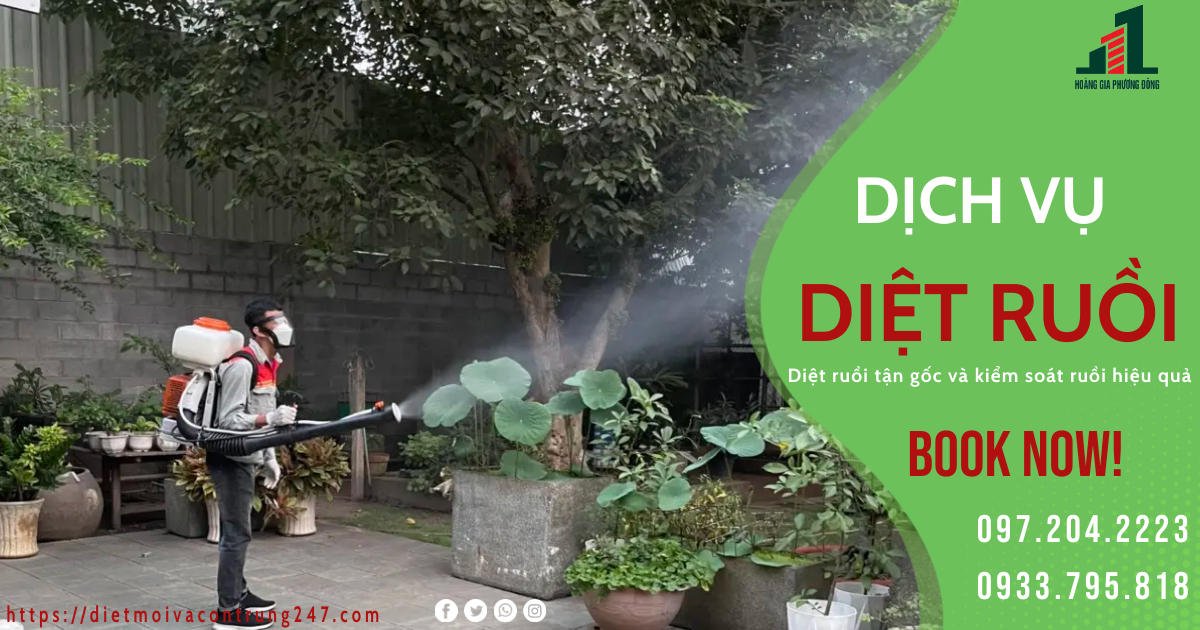 DỊCH VỤ DIỆT RUỒI TẬN GỐC