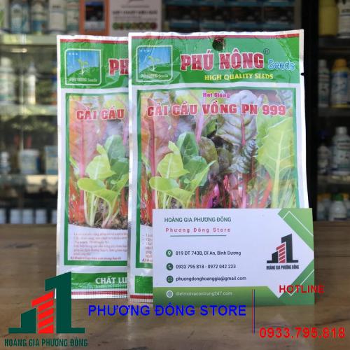 Hạt giống cải cầu vồng 