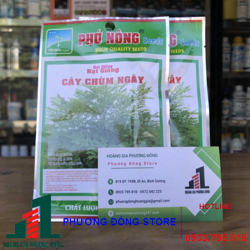 Hạt giống rau chùm ngây