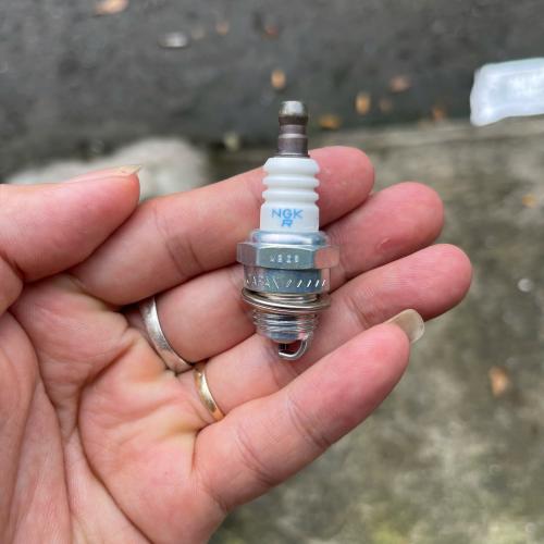 Buri (bugi) 2 thì NGK